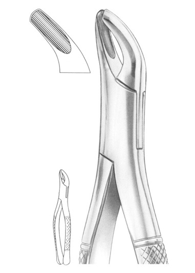 Fig. 8 upper and lower third molars