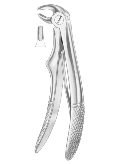 KLEIN (Fig. 221) lower incisors