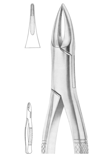 Fig. 38 upper anteriors and roots