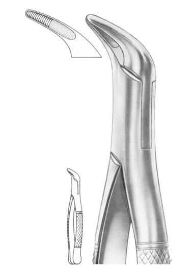 Fig. 36 lower anteriors and roots