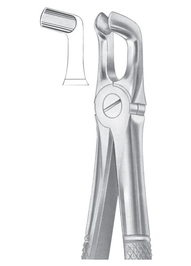 Fig. 79A lower third molars