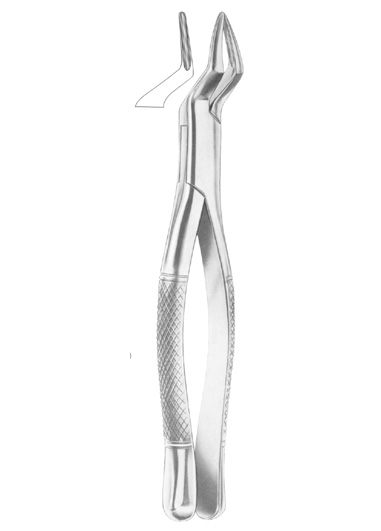 Fig. 65 upper incisors and roots
