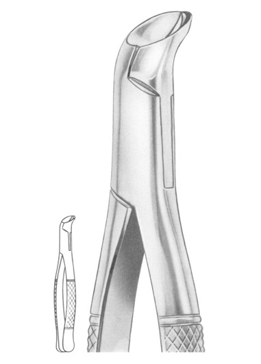 PHYSICK Fig. 5 lower third molars