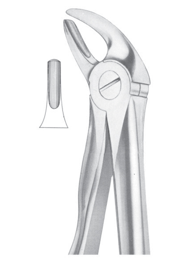 Fig. 4 lower incisors and canines