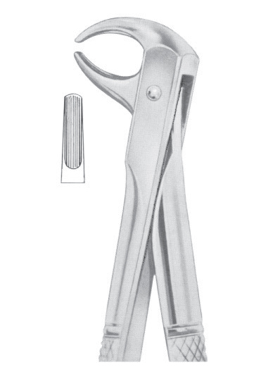 Fig. 106 lower incisors