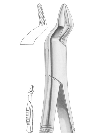 Fig. 286 upper incisors and roots