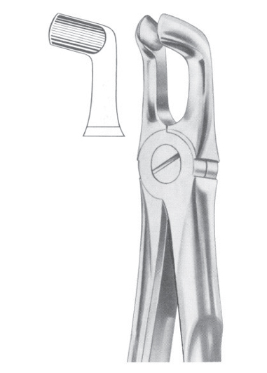 Fig. 76A lower third molars