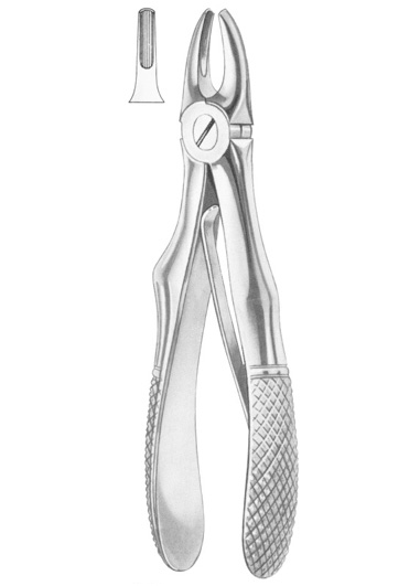 KLEIN (Fig. 217) upper incisors