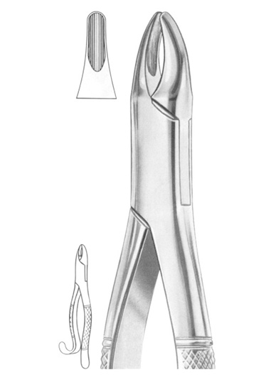 Fig. 13 upper incisors